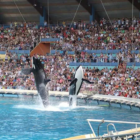 Riviera Azur à 300m De La Et Du Marineland
